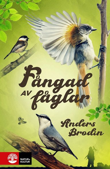 Anders Brodin - Fångad av fåglar, E-bok