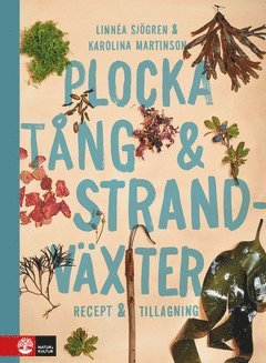 Linnéa Sjögren, Karolina Martinson - Plocka tång & strandväxter : Recept och tillagning, E-bok