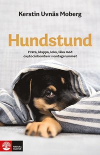 Hundstund : prata, klappa, leka, lka med oxytocinbomben i vardagsrummet