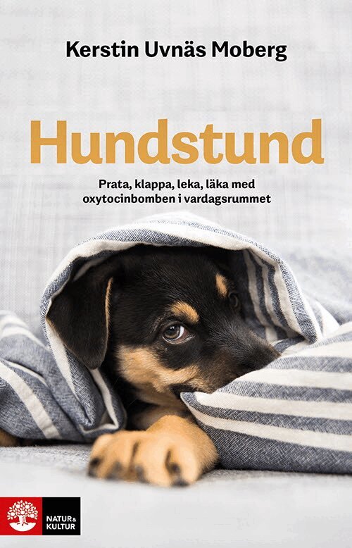 Kerstin Uvnäs Moberg - Hundstund : Prata, klappa, leka, läka med oxytocinbomben i vardagsrummet, E-bok