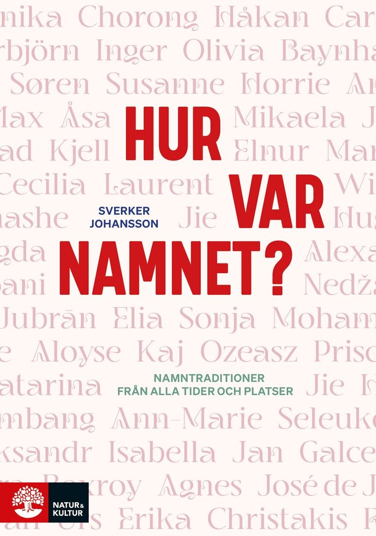 Sverker Johansson - Hur var namnet? : namntraditioner från alla tider och platser, E-bok
