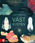 I vattnet p vstkusten