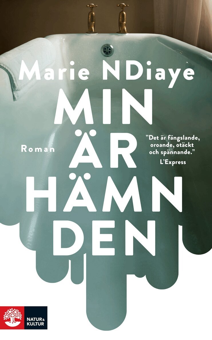 Marie NDiaye - Min är hämnden, E-bok