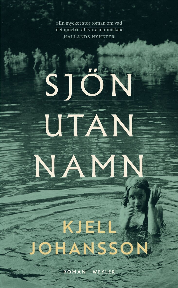 Kjell Johansson - Sjön utan namn, E-bok
