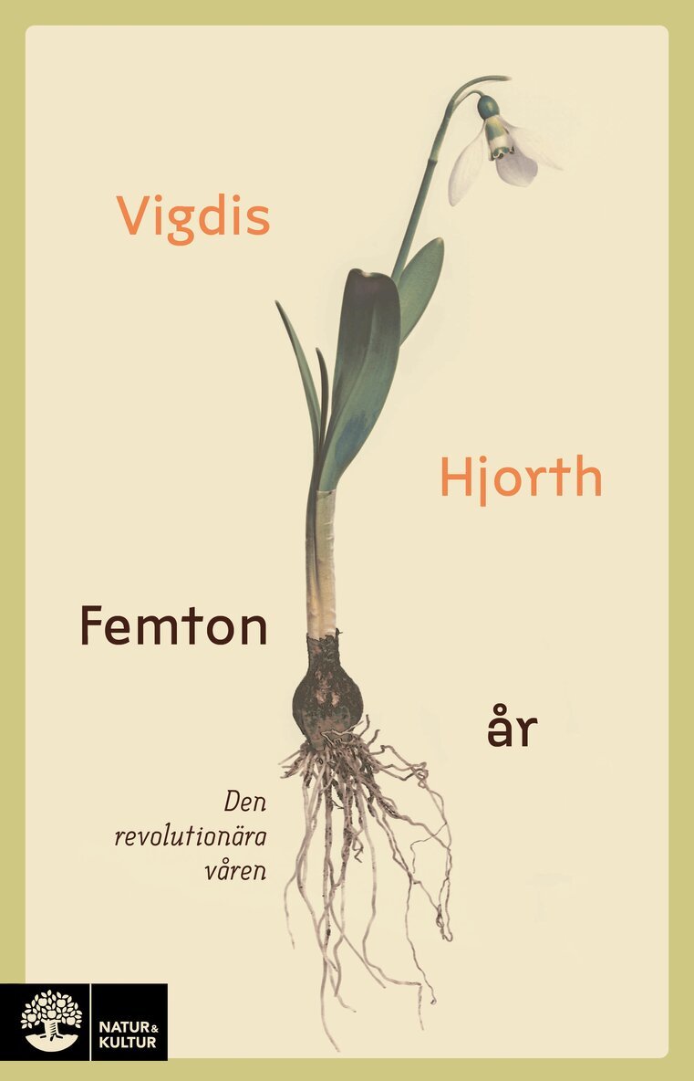 Vigdis Hjorth - Femton år : den revolutionära våren, E-bok
