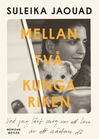 Mellan tv kungariken : vad jag lrde mig om att leva av att nstan d