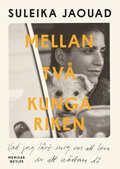 Mellan tv kungariken : vad jag lrde mig om att leva av att nstan d