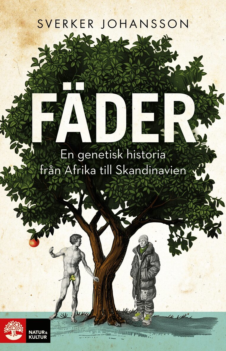 Sverker Johansson - Fäder : en genetisk historia från Afrika till Skandinavien, E-bok