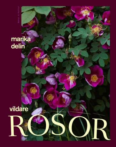 Marika Delin - Vildare rosor, Inbunden