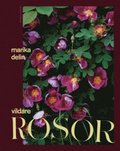 Vildare rosor