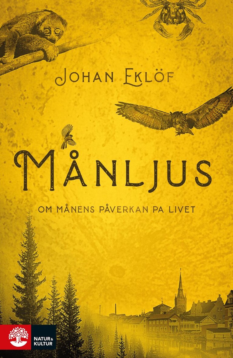 Johan Eklöf - Månljus : om månens påverkan på livet, E-bok