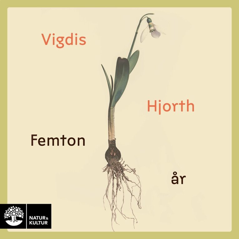 Vigdis Hjorth - Femton år : den revolutionära våren, Ljudbok