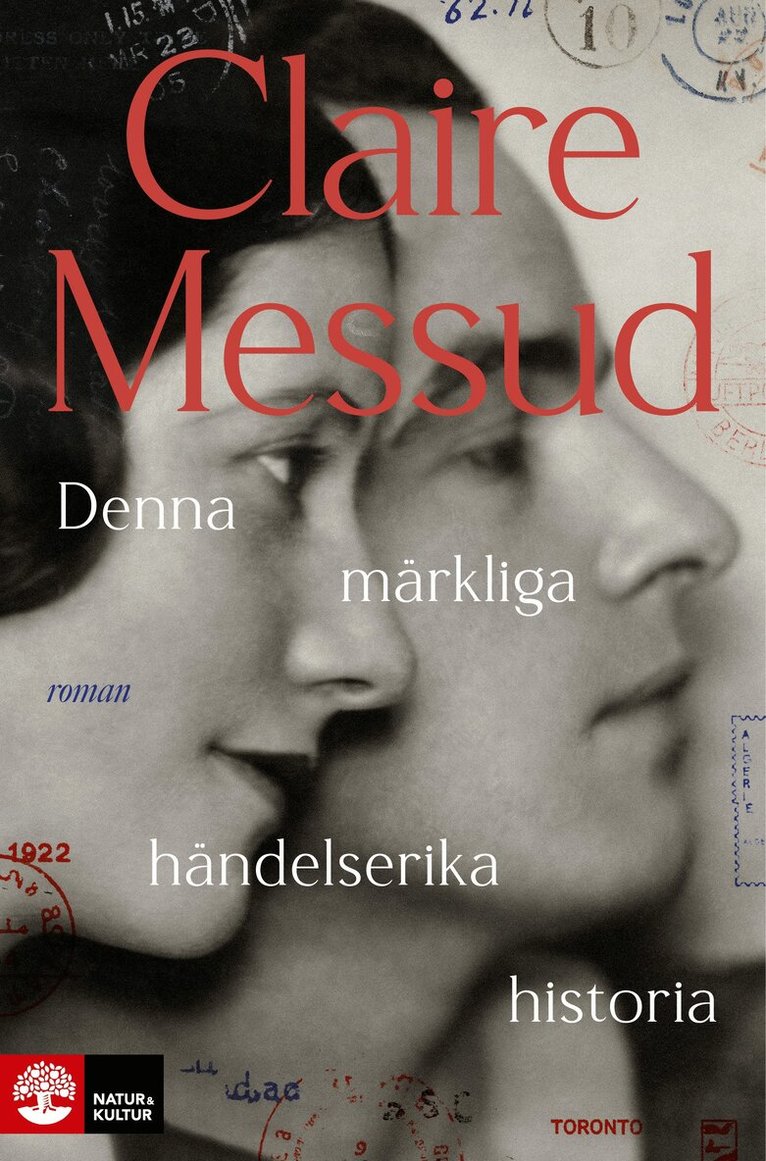 Claire Messud - Denna märkliga händelserika historia, E-bok
