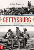 Gettysburg : Svenskarna som stred i amerikanska inbrdeskriget