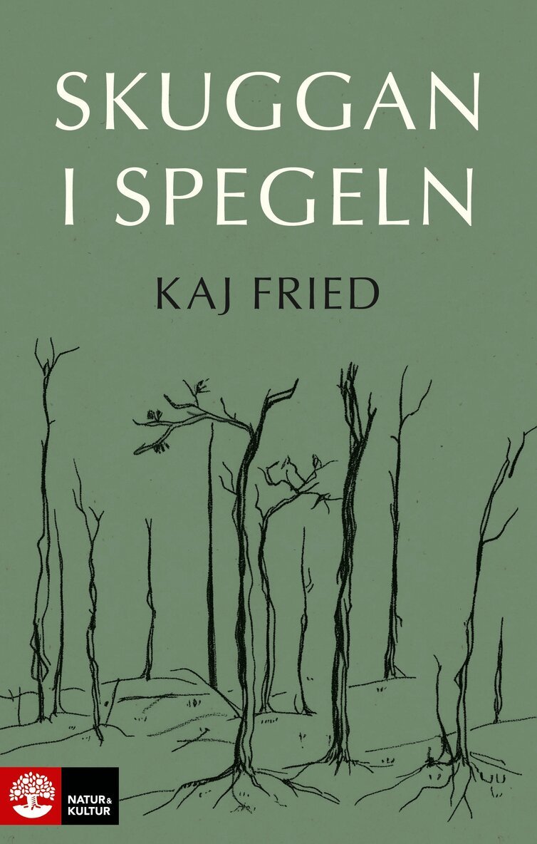 Kaj Fried - Skuggan i spegeln, Inbunden