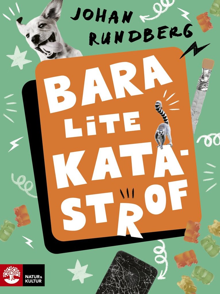Johan Rundberg - Bara lite katastrof, E-bok