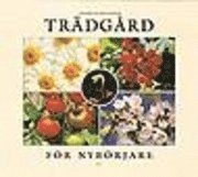 Inger Palmstierna - Trädgård för nybörjare, Inbunden