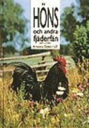 Kristina Odén - Oden, K/Höns och andra fjäderfän, Häftad