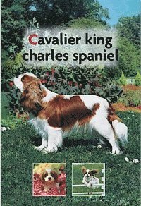 Juliette Cunliffe - Cavalier king charles spaniel, Inbunden