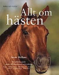 Susan McBane - Allt om hästen : en utförlig guide till hästskötsel och ridning, Inbunden