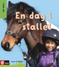 e-Bok Faktiskt En dag i stallet