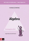 Intensivtrning ma k 4-6 Algebra Lhl