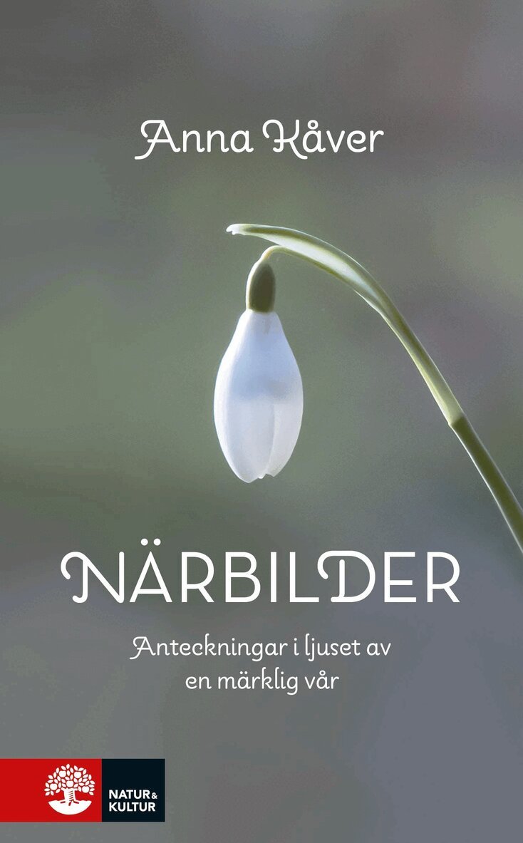 Anna Kåver - Närbilder : Anteckningar i ljuset av en märklig vår, E-bok