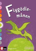 Lsrymden Flygdlemnen