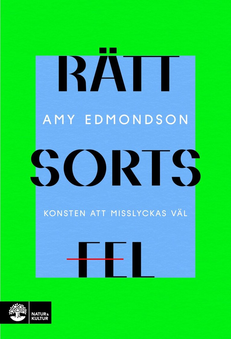 Amy Edmondson - Rätt sorts fel : konsten att misslyckas väl, E-bok