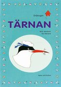 T�rnan