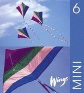 e-Bok Wings Mini. 6, Elevbok