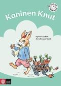 Kaninen Knut : övningar i läsförståelse