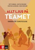 Allt ljus p teamet : en handbok fr teamutveckling