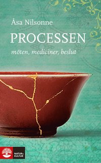 e-Bok Processen  Möten, mediciner, beslut <br />                        E bok