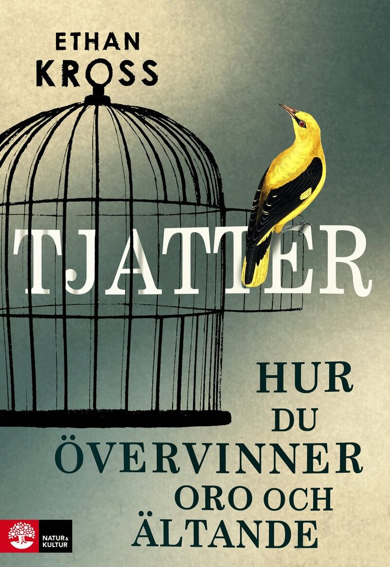 Ethan Kross - Tjatter : hur du övervinner oro och ältande, E-bok
