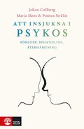 Att insjukna i psykos : frlopp, behandling, terhmtning