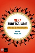 Mera arbetsglädje : att utveckla och stärka arbetslusten
