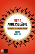 Mera arbetsgldje : att utveckla och strka arbetslusten