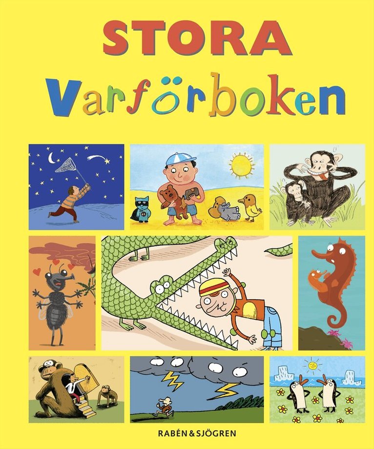 Francoise de Guibert - Stora varförboken, Kartonnage