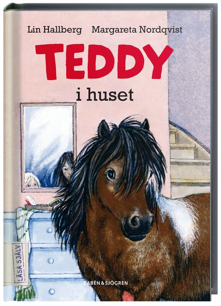 Lin Hallberg - Teddy i huset, Kartonnage