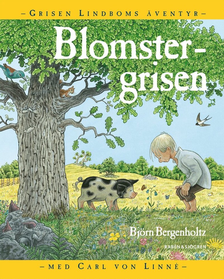 Björn Bergenholtz - Blomstergrisen, Kartonnage