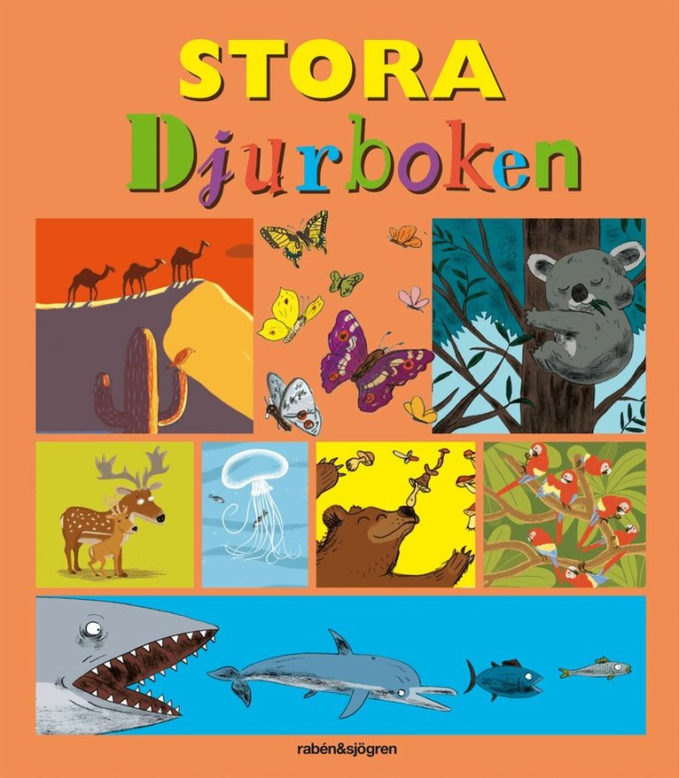 Benoît Delalandre - Stora djurboken, Kartonnage