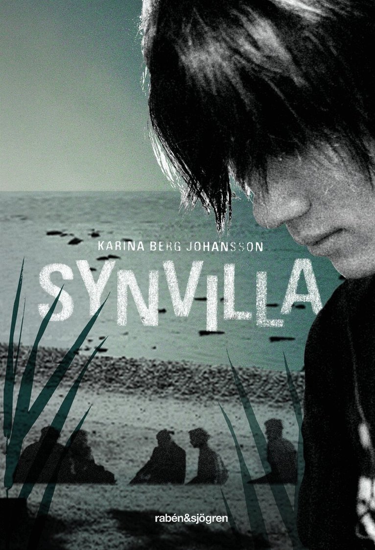 Karina Berg Johansson - Synvilla, Kartonnage