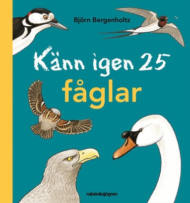Björn Bergenholtz - Känn igen 25 fåglar, Inbunden