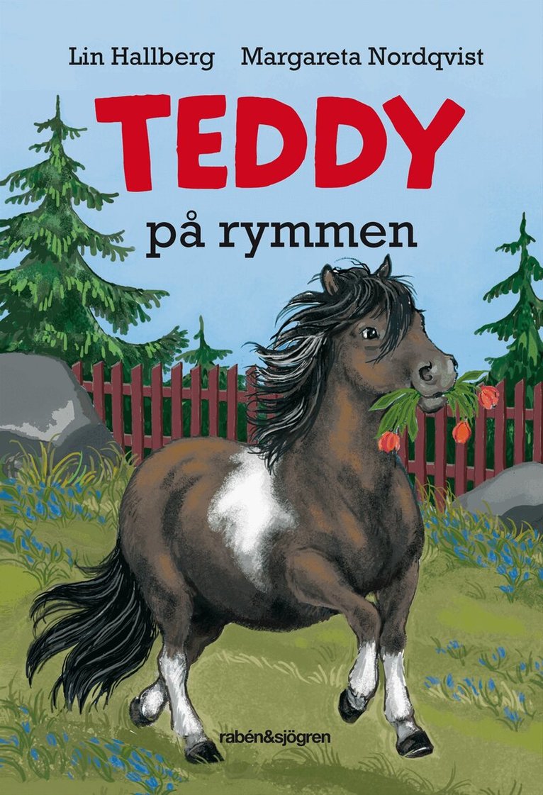 Lin Hallberg - Teddy på rymmen, Kartonnage
