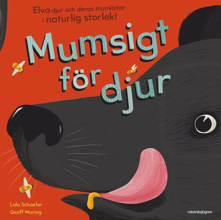 Lola Schaefer - Mumsigt för djur : elva djur och deras munsbitar i naturlig storlek, Kartonnage