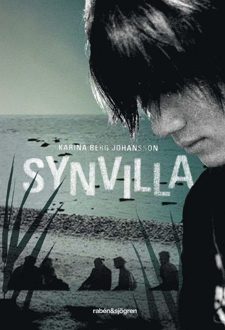 Karina Berg Johansson - Synvilla, E-bok