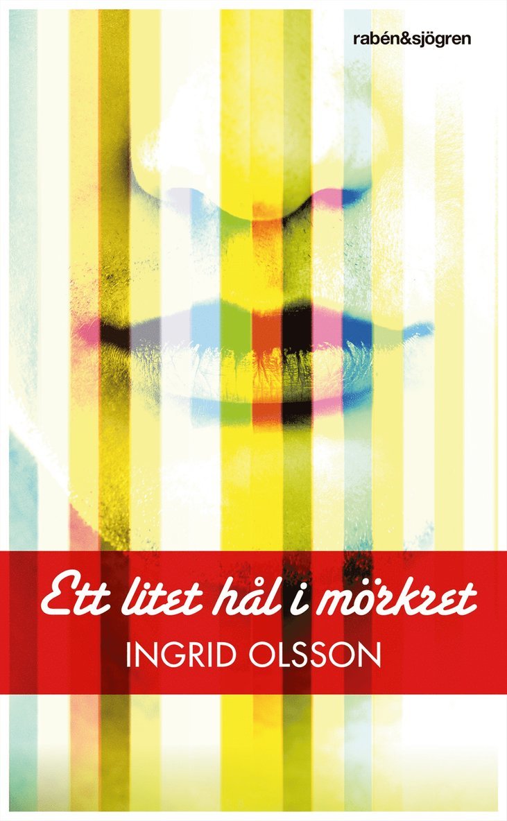 Ingrid Olsson - Ett litet hål i mörkret, E-bok