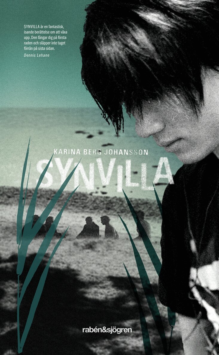 Karina Berg Johansson - Synvilla, Pocket