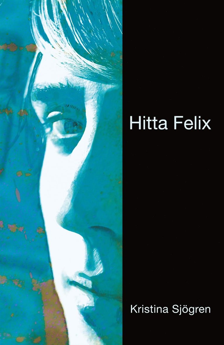 Kristina Sjögren - Hitta Felix, E-bok